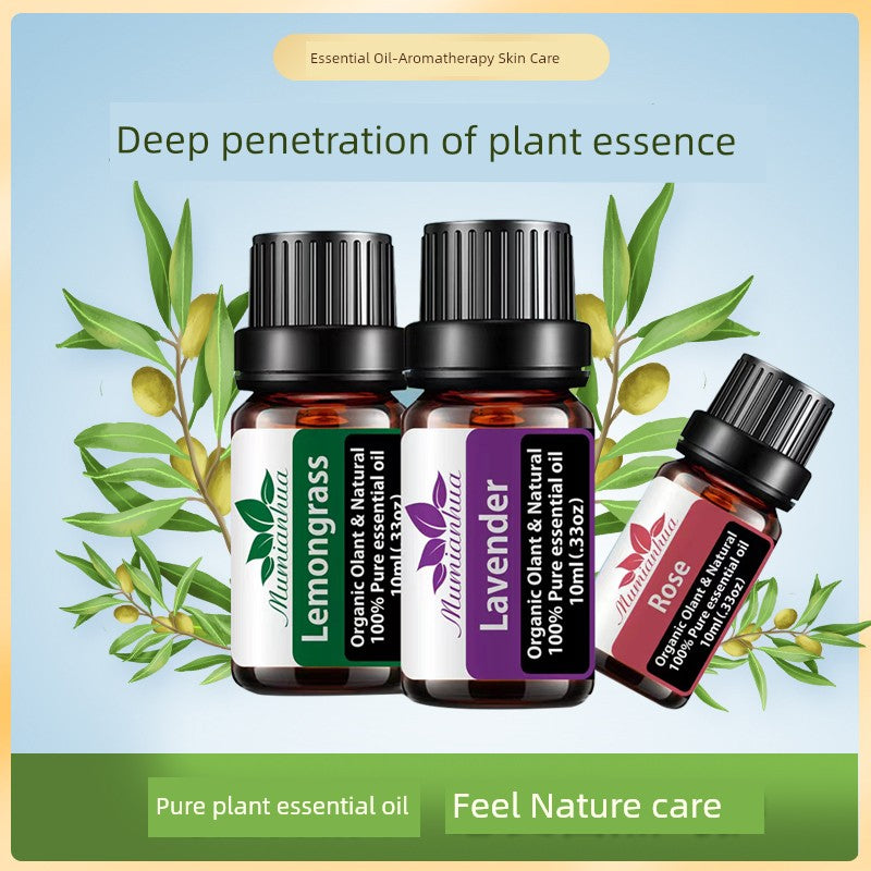 Aroma Diffuser Essential Oil Aromatherapy Replenisher Mint Rosemary Lemongrass Lavender Rose Single Mosquito Repellent Organic Essence Oil