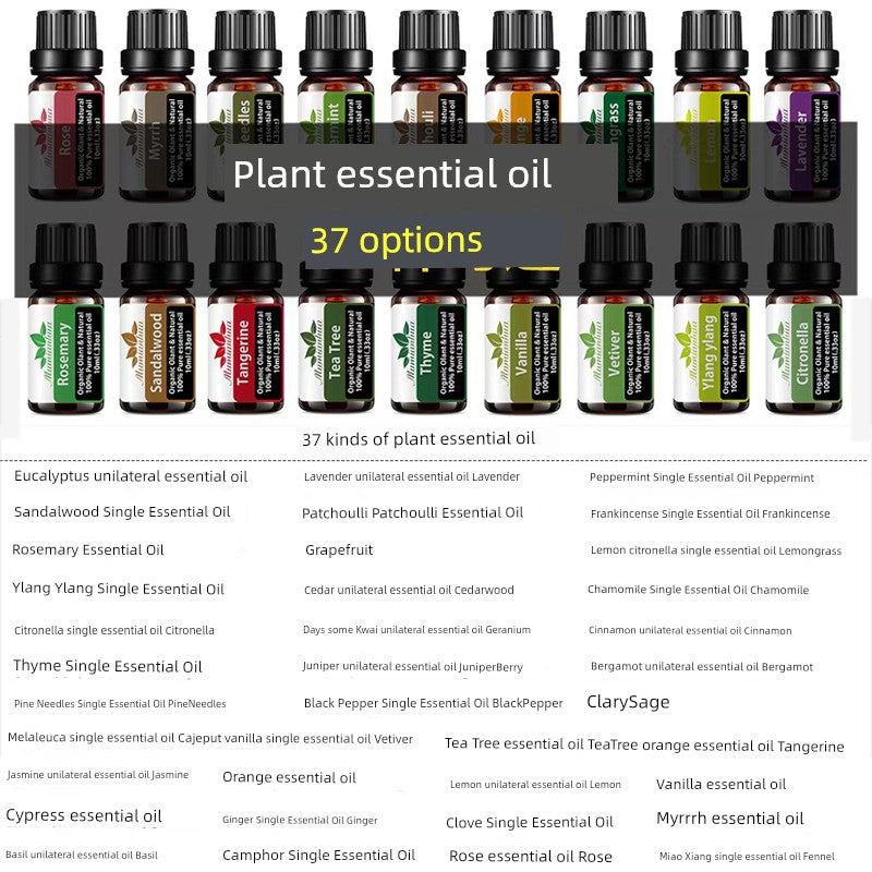 Aroma Diffuser Essential Oil Aromatherapy Replenisher Mint Rosemary Lemongrass Lavender Rose Single Mosquito Repellent Organic Essence Oil