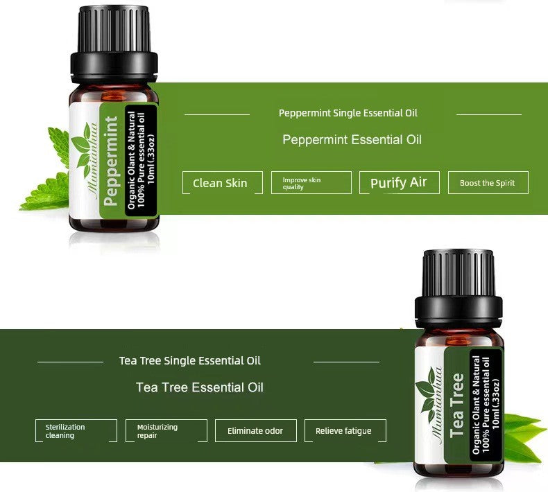 Aroma Diffuser Essential Oil Aromatherapy Replenisher Mint Rosemary Lemongrass Lavender Rose Single Mosquito Repellent Organic Essence Oil