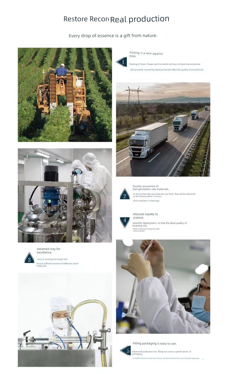 Aroma Diffuser Essential Oil Aromatherapy Replenisher Mint Rosemary Lemongrass Lavender Rose Single Mosquito Repellent Organic Essence Oil